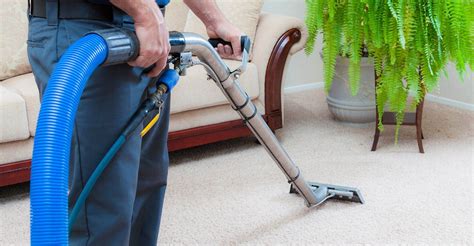 cheap rug cleaners near me|best area rug cleaning companies.